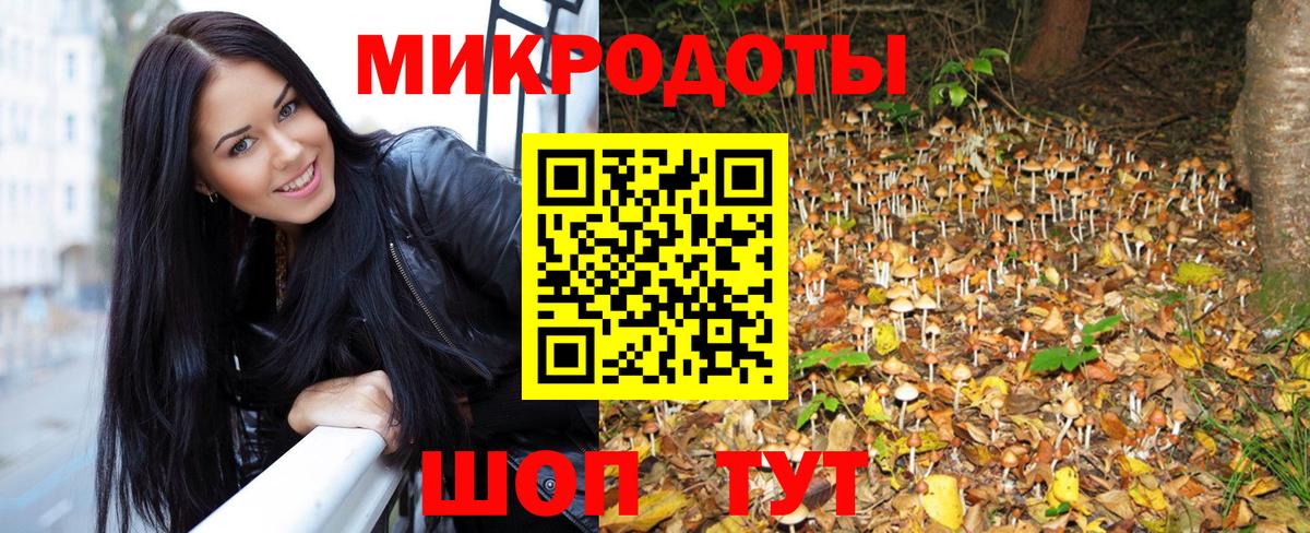 Галлюциногенные грибы Psilocybe Москва